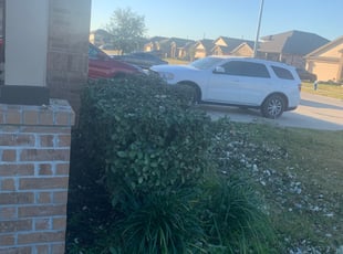 Bush Trimming by Samuel Reyes for Jessica J. in Rosharon, TX
