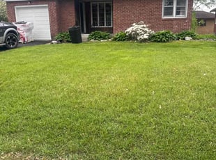 Bush Trimming by Troy Carroll for Devon T. in Albany, NY