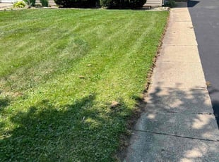Thomas I.'s Lawn Mowing Service service result