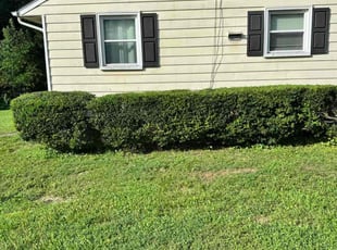 Bush Trimming by Robert Williams for Charleston D. in Sandston, VA