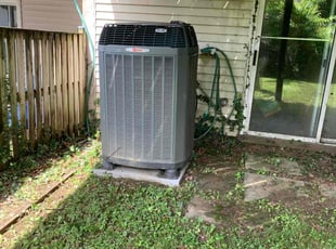 Cleanups by Ted Morris for STEVE M. in Owings Mills, MD