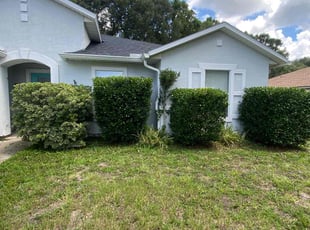 Bush Trimming by Mark Collins for Sarah H. in Yulee, FL