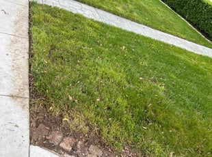 Kathleen D.'s Lawn Service service result