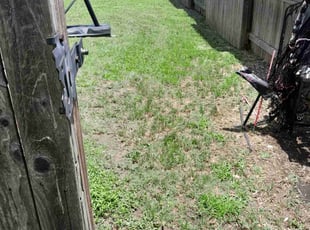 Leaf Removal by Alba Chacon Galdamez for Inieka N. in Pflugerville, TX