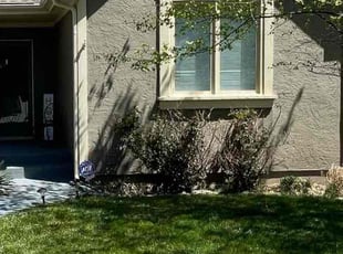 Bush Trimming by Cameron Chaney for Beatrice D. in Lee's Summit, MO