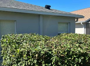 Bush Trimming by Jim Jones IV for Jodi B. in Land O' Lakes, FL