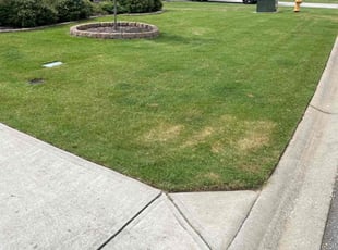 Terry T.'s Lawn Service service result