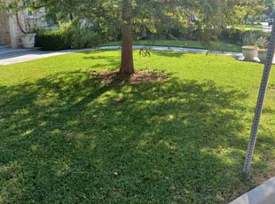 Steve H.'s Yard Cutting service result