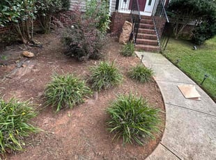 Bush Trimming by Nelson Lopez for Amy N. in Indian Trail, NC