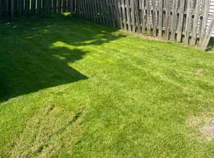 Clayton J.'s Grass Cutting service result