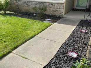 Nydia C.'s Lawn Service service result