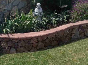 Bush Trimming by Angel Sandoval for Melissa M. in El Paso, TX