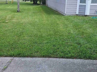 Shayla Marie M.'s Lawn Mowing Service service result