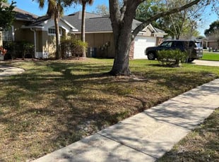 Leaf Removal by Kimberly Gray for Josh B. in DeBary, FL
