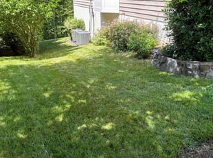 Maria B.'s Yard Cutting service result
