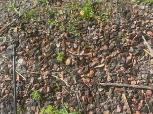 Cleanups by Justin Hands for Dean S. in Aurora, CO