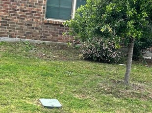 Weeding by Martin Jimenez for Donteres F. in Fort Worth, TX
