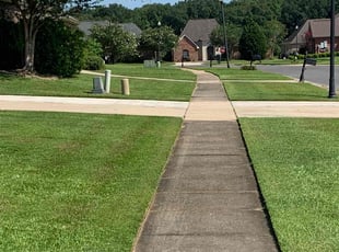 Patricia A.'s Yard Cutting service result