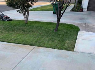 Tai C.'s Grass Cutting service result