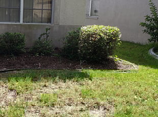 Bush Trimming by Stanley Foster for Larry S. in Riverview, FL