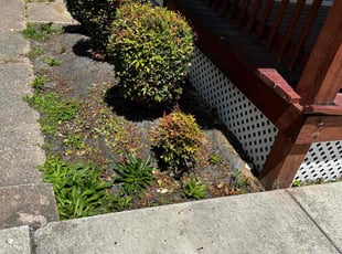 Landscaping by Alphonso Hoke for Nikkia C. in Baltimore, MD