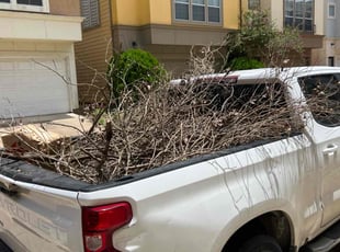 Cleanups by Nicole Ross for Andre M. in Houston, TX
