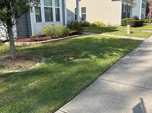 Henry M.'s Lawn Care service result