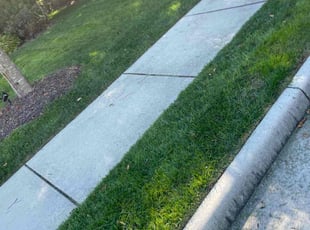 Beverly L.'s Lawn Care service result