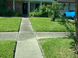 Dana C.'s Lawn Care service result