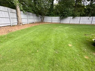 Andrew H.'s Lawn Mowing Service service result