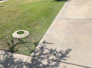 Beverly S.'s Lawn Care service result