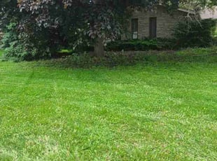 Aaron S.'s Yard Cutting service result