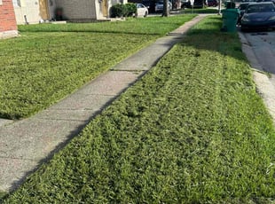 Eileen M.'s Lawn Mowing Service service result
