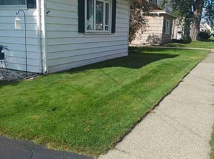 Angela B.'s Lawn Care service result