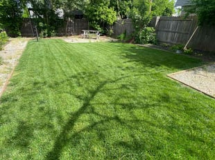 Liz G.'s Grass Cutting service result