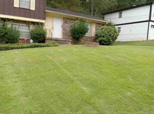 Deborah H.'s Grass Cutting service result