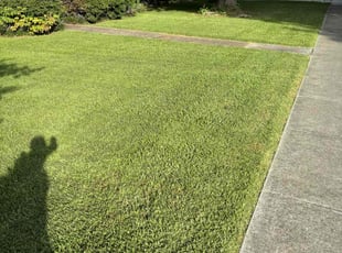 Jocelyn w.'s Grass Cutting service result