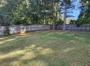 Alan G.'s Grass Cutting service result