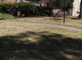 Cleanups by Kimberly Gonzales-Franco for Kenitra S. in Houston, TX