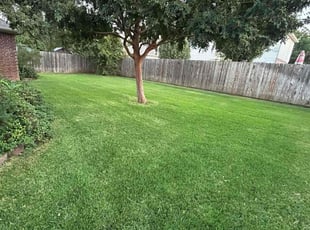 Zane K.'s Lawn Care service result