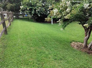Caroline S.'s Lawn Care service result