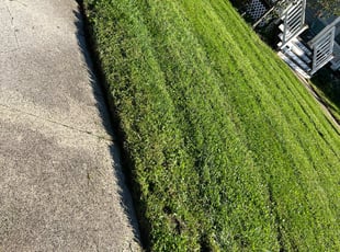Sukhkaran G.'s Lawn Service service result