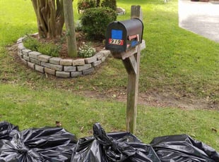 Leaf Removal by Brian Smith for Emilyn R. in Chesapeake, VA