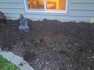 Weeding by Robert Martin for Ken R. in Kenmore, WA