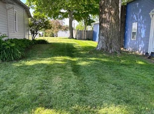 Tanisha G.'s Lawn Maintenance service result