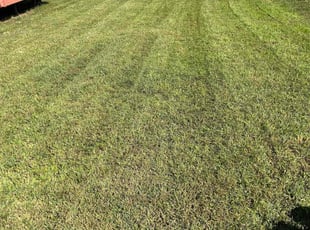 Stephen S.'s Grass Cutting service result