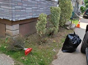 Bush Trimming by Edward Love for Jonathan R. in Rochester, NY