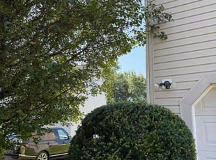 Bush Trimming by Kevon Coleman for Charles H. in Richmond, VA