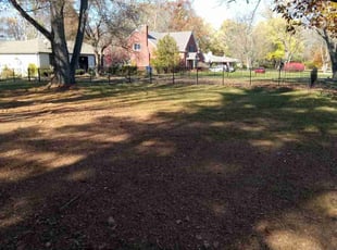 Leaf Removal by Demetrious Day for Josh D. in Indianapolis, IN