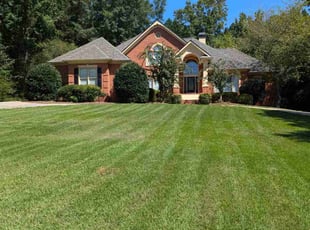 Annissa E.'s Lawn Mowing Service service result